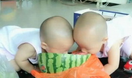 双胞胎姐妹吃瓜爆料,一场吃瓜爆料的狂欢