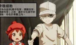 工作细胞动漫,揭秘工作细胞的奇幻旅程